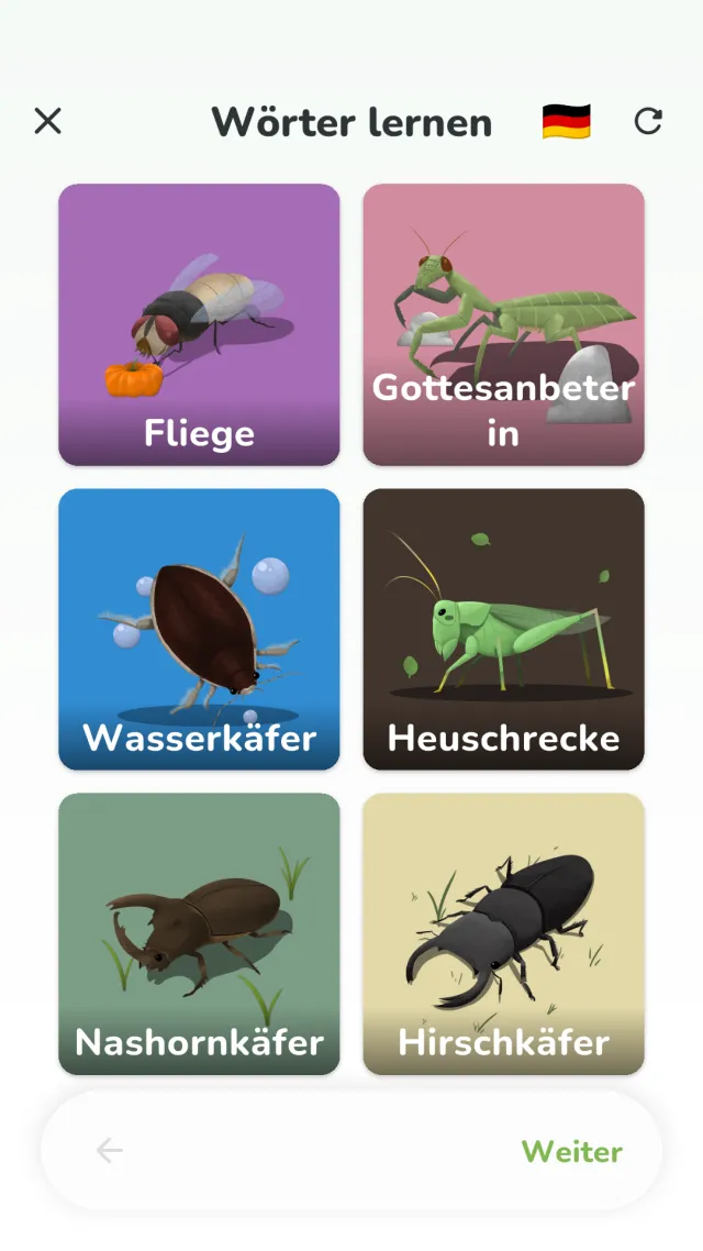 Lernbildschirm von YumYum Words – Obstkarten mit dem Wort darunter