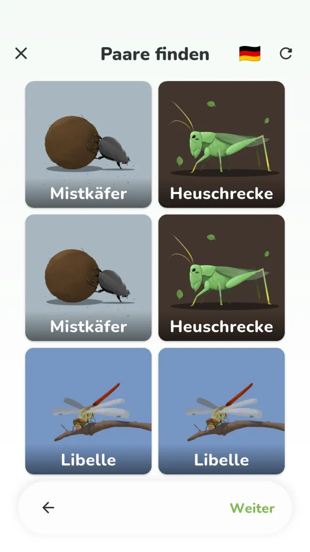 Bildschirm „Paare finden“ von YumYum Words – zwei gleiche Tierkarten aufspüren