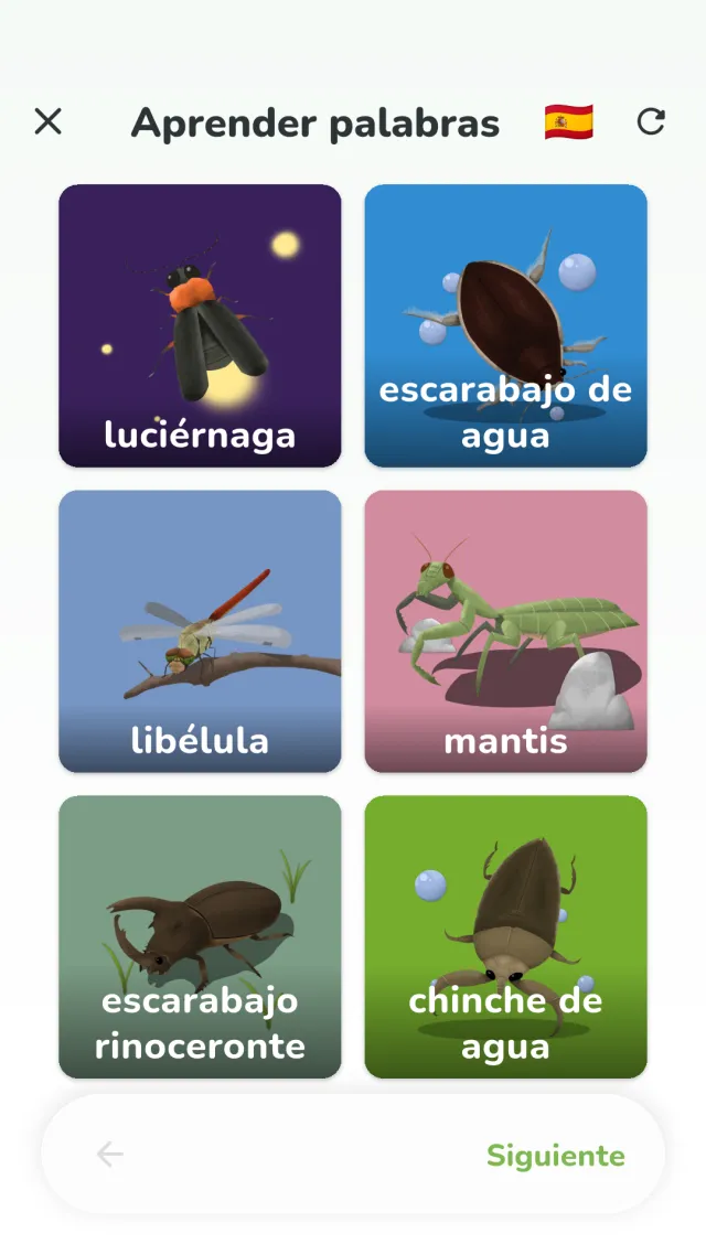 Pantalla de aprendizaje de YumYum Words — tarjetas de fruta con la palabra debajo