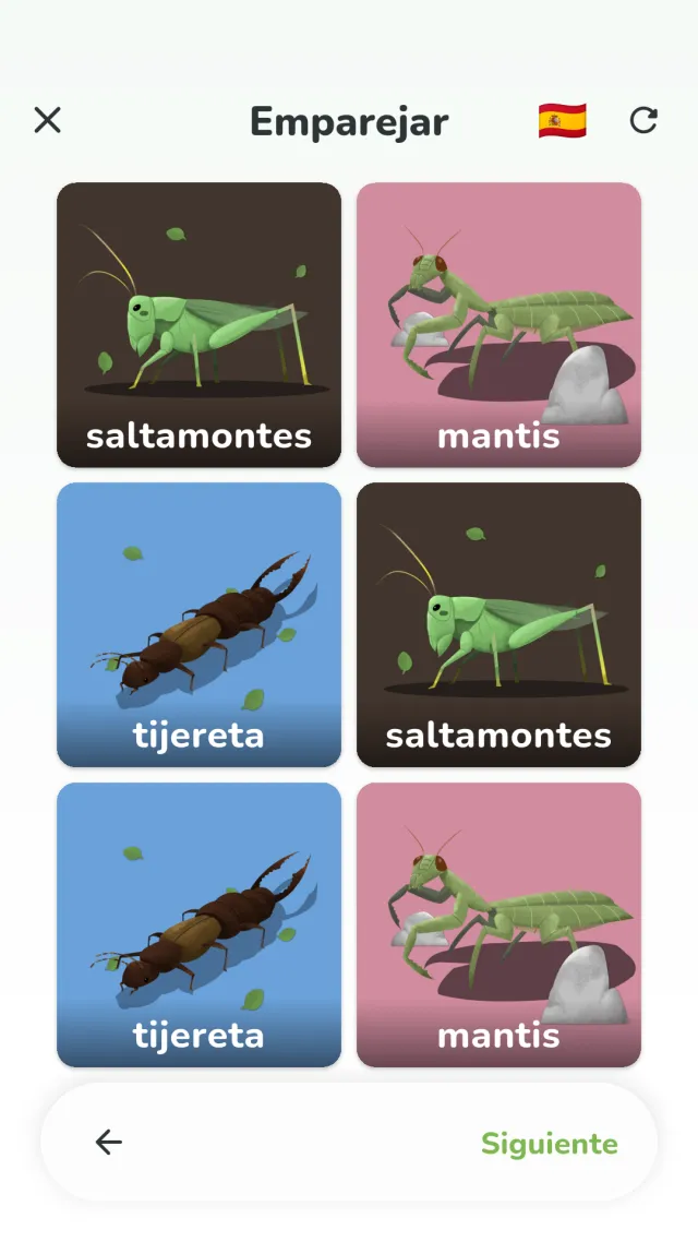 Pantalla de emparejar de YumYum Words — encontrar las dos cartas de animal iguales