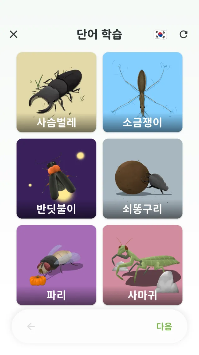 단어냠냠 단어 학습 화면 — 과일 그림 카드와 한글 단어가 함께 표시된 모습