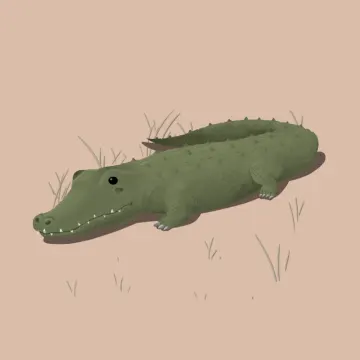 악어 — 동물