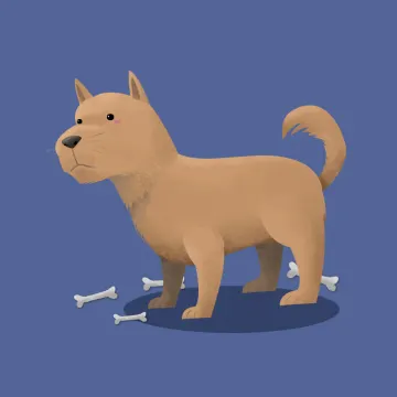개 — 동물