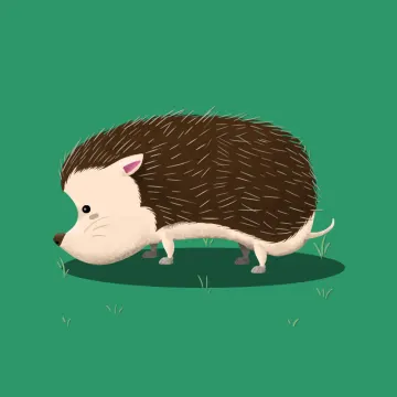 erizo — Animales 2