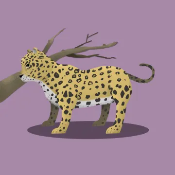 leopardo — Animales 2