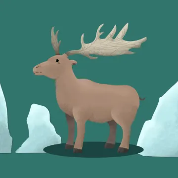 alce — Animales 2