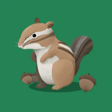 ardilla — Animales 2