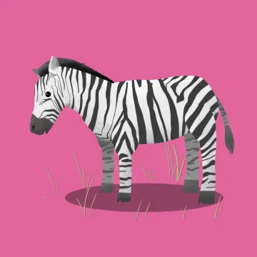 cebra — Animales 2