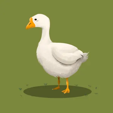 Gans — Vögel