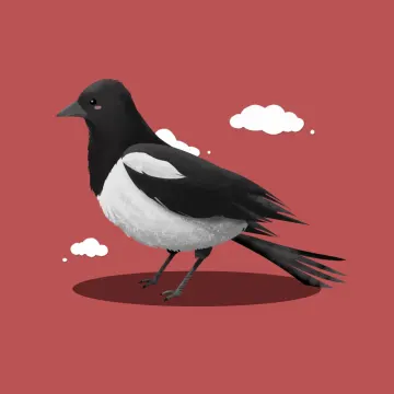 Elster — Vögel