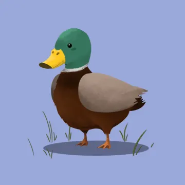Stockente — Vögel