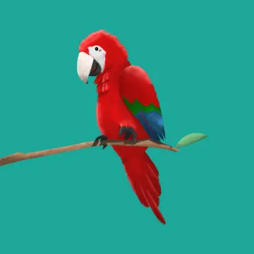 Papagei — Vögel