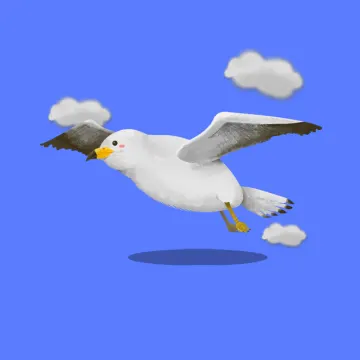 Möwe — Vögel