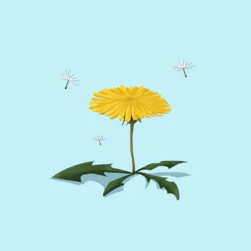 민들레 — 꽃과 나무