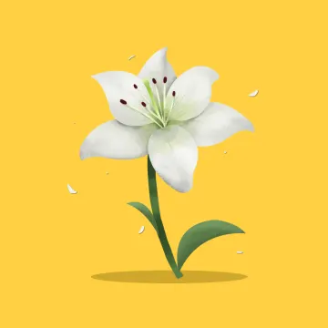 백합 — 꽃과 나무