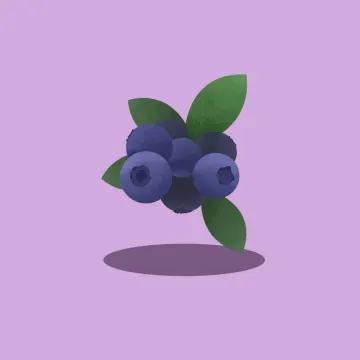 블루베리 — 과일