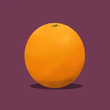 오렌지 — 과일