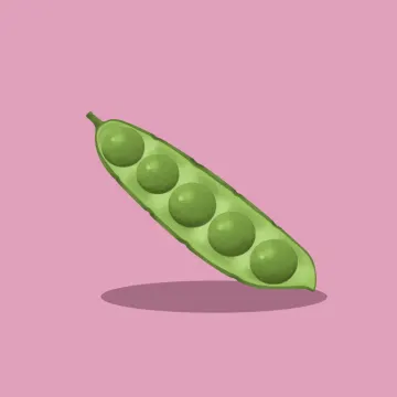 완두 — 과일