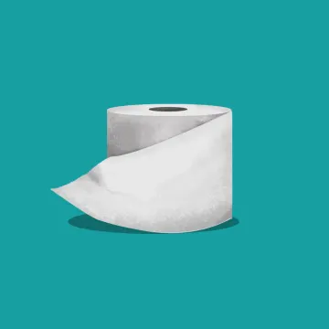 Toilettenpapier — Im Haus