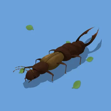Ohrwurm — Insekten