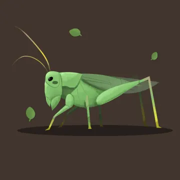 Heuschrecke — Insekten