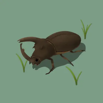 Nashornkäfer — Insekten
