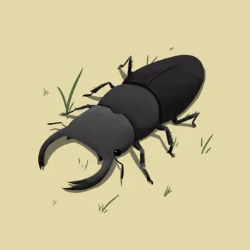 Hirschkäfer — Insekten