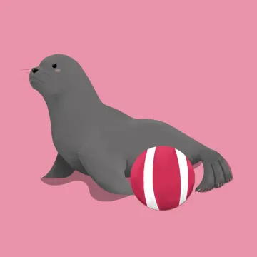 海狗 — 海洋动物