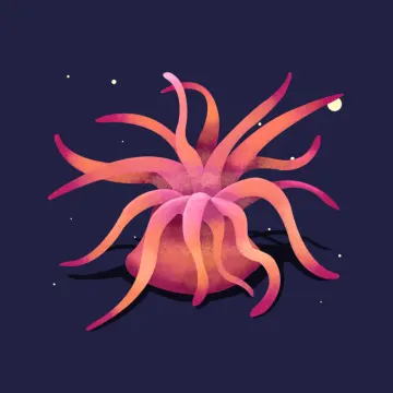 海葵 — 海洋动物