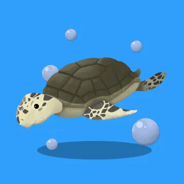 海龟 — 海洋动物