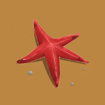 海星 — 海洋动物