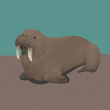 海象 — 海洋动物