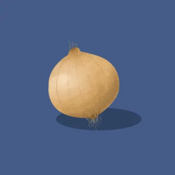 Zwiebel — Gemüse und Getreide